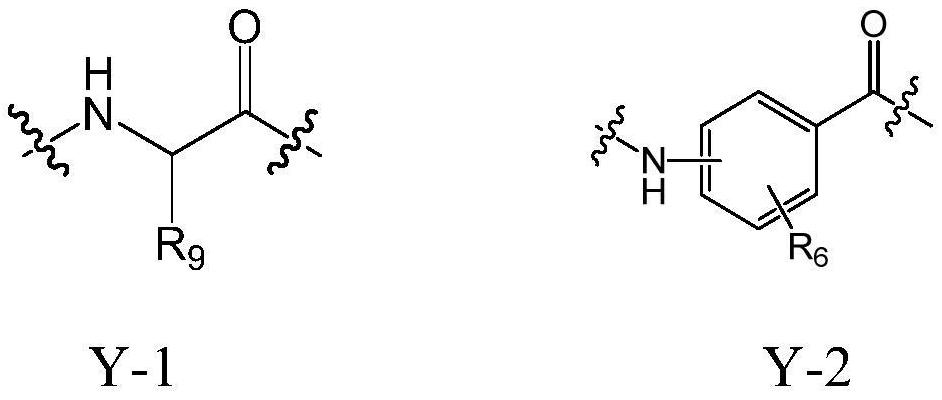 A bile acid derivative with antibacterial activity and its pharmaceutical composition