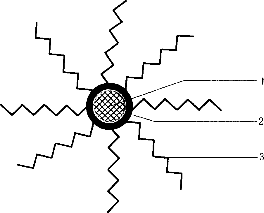 Carrier used for synthesizing nucleic acid and its creation method and application