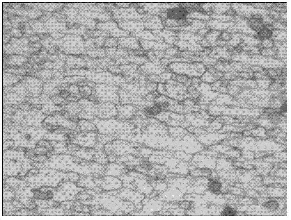 High-hardness steel belt for home appliances and manufacturing method