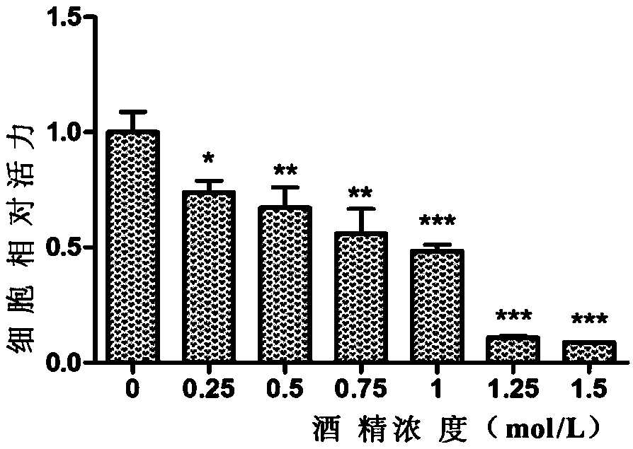 Use of Isochrysis polypeptide IZP-2 in preparation of drugs and health products for preventing and treating alcoholic liver injury