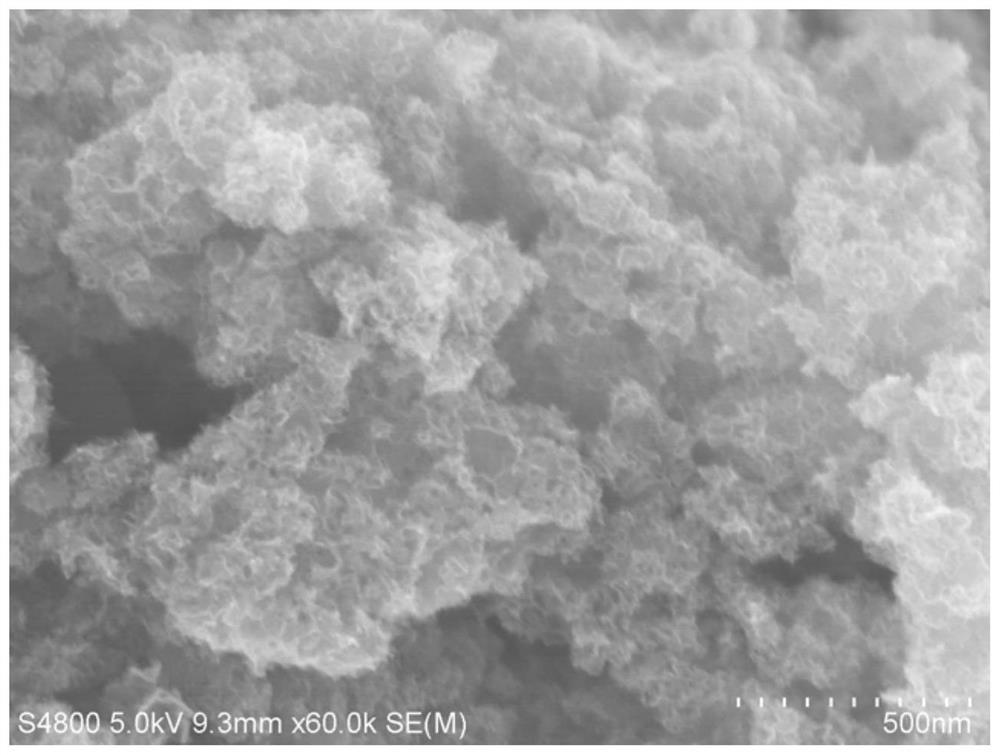 Monatomic copper/boron double-site multifunctional catalyst as well as preparation method and application thereof