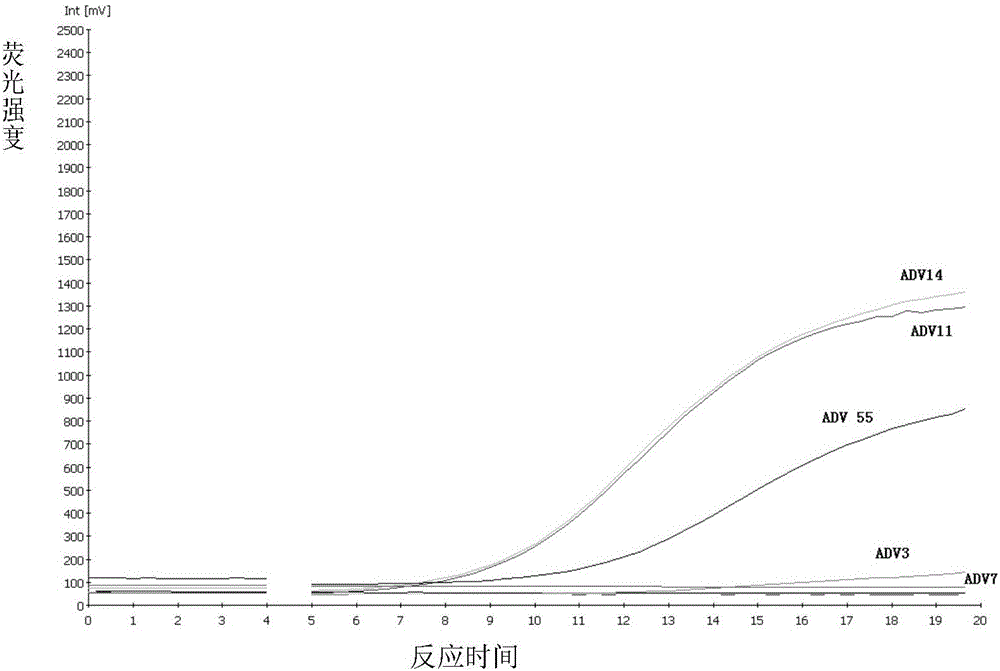 General nucleic acid isothermal detection reagent of respiratory tract infection associated adenoviruses