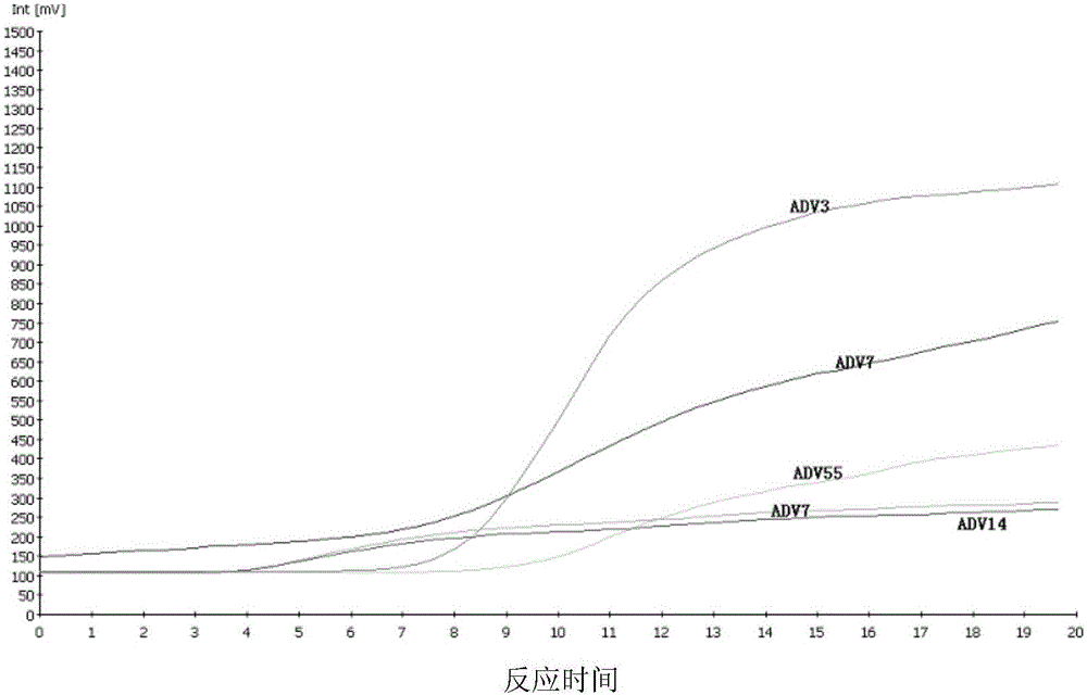 General nucleic acid isothermal detection reagent of respiratory tract infection associated adenoviruses