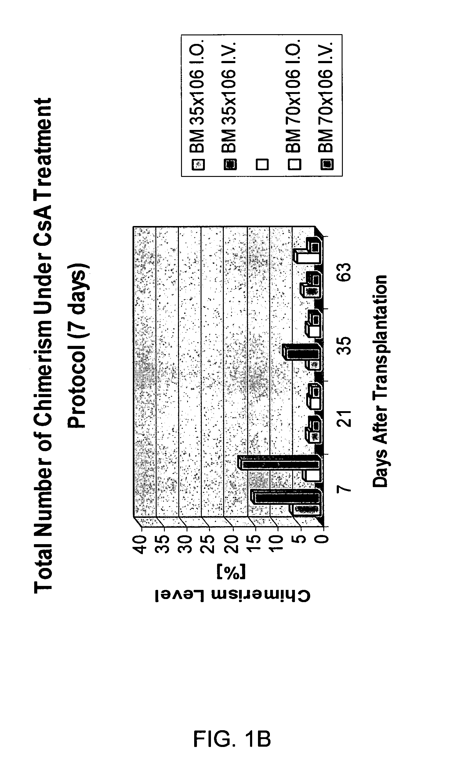 Tolerance induction and maintenance in hematopoietic stem cell allografts