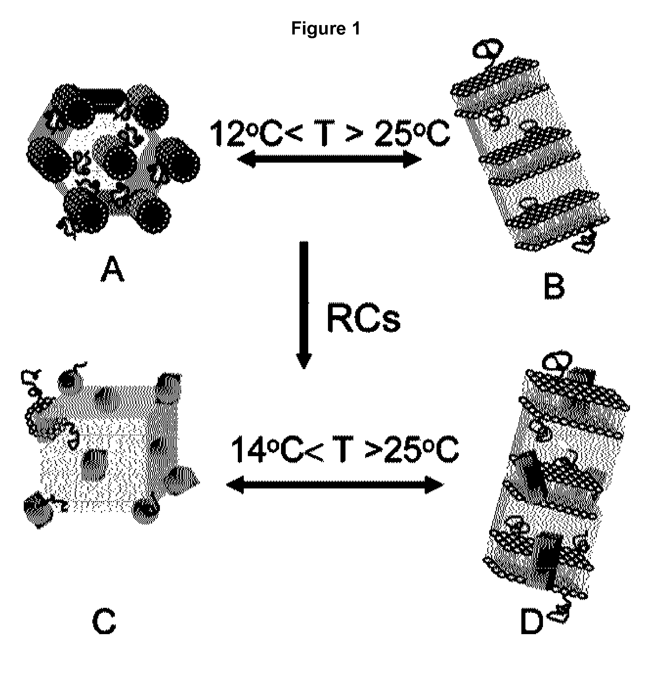 Biomimetic materials for protein storage and transport