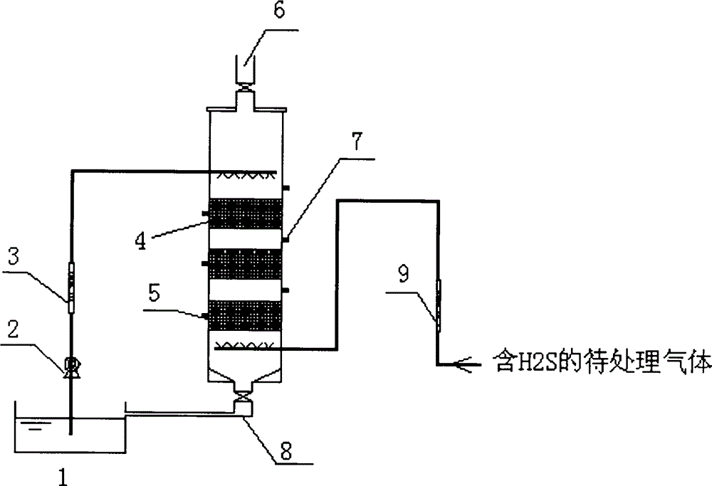 Citrobacter sp. for removing H2S gas from gas, and use thereof