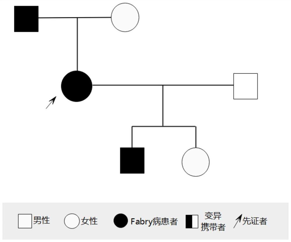 Rare genetic disease mutant gene and application thereof