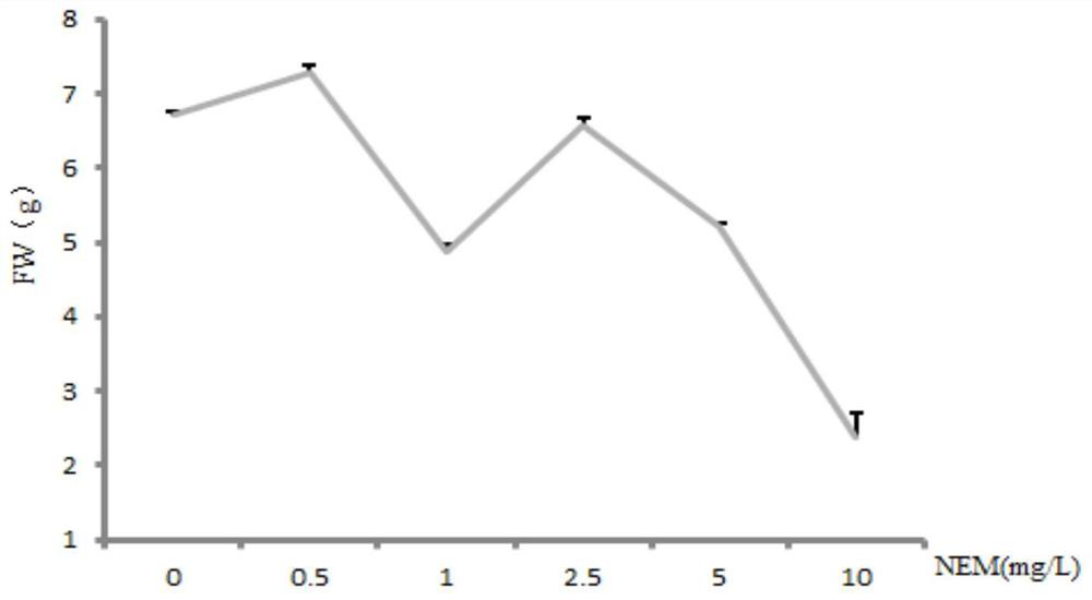 A method for promoting the accumulation of rosmarinic acid in hairy roots of Salvia miltiorrhiza