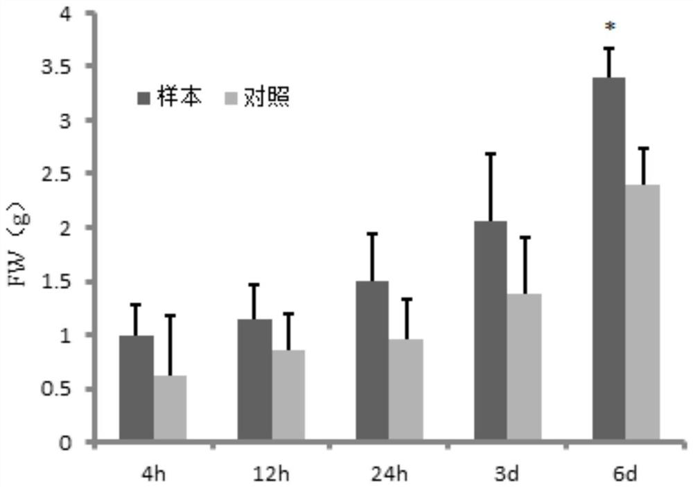 A method for promoting the accumulation of rosmarinic acid in hairy roots of Salvia miltiorrhiza