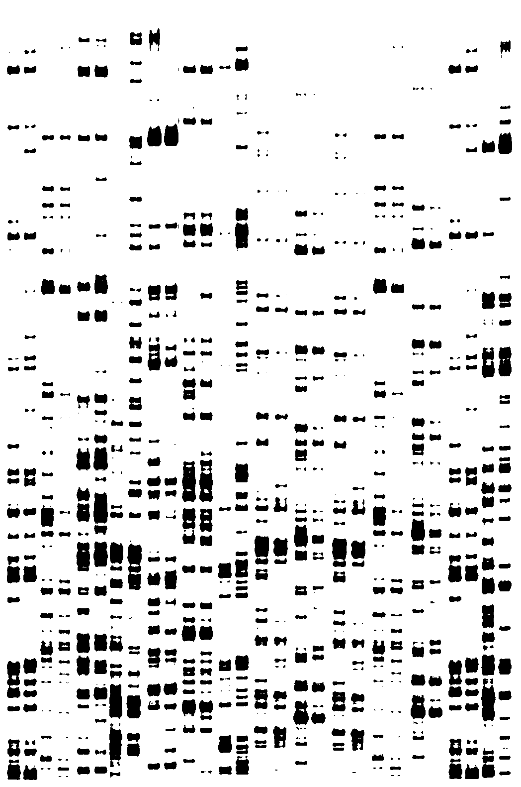 A kind of breeding method of plant low temperature resistant gene and transgenic low temperature resistant plant