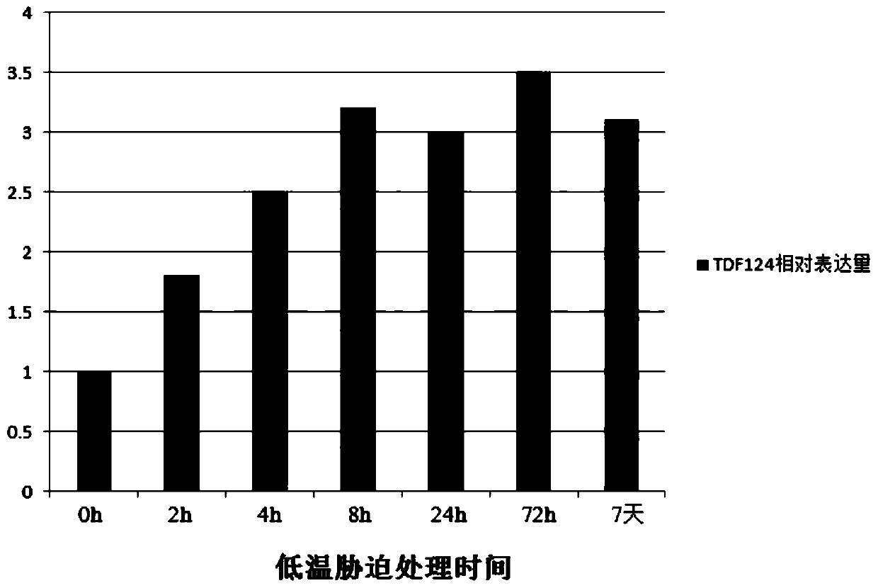 A kind of breeding method of plant low temperature resistant gene and transgenic low temperature resistant plant