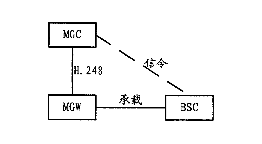 Audit method and system of carrying end