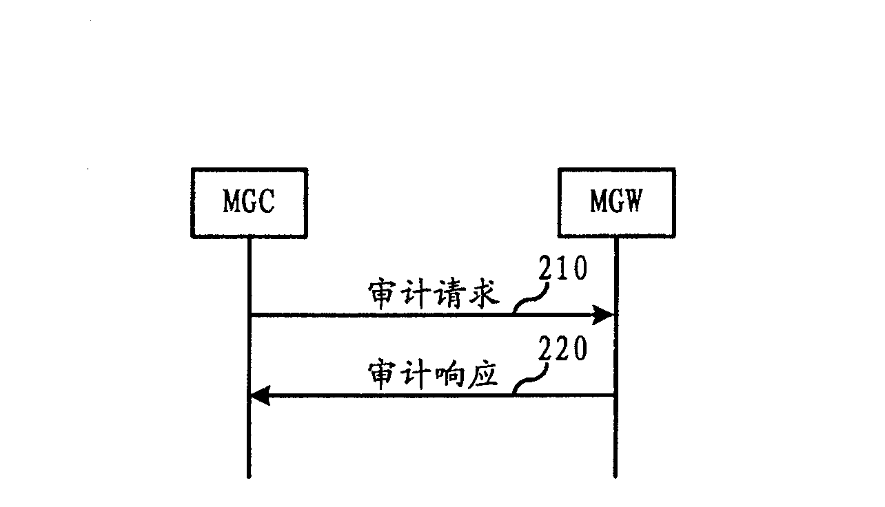 Audit method and system of carrying end