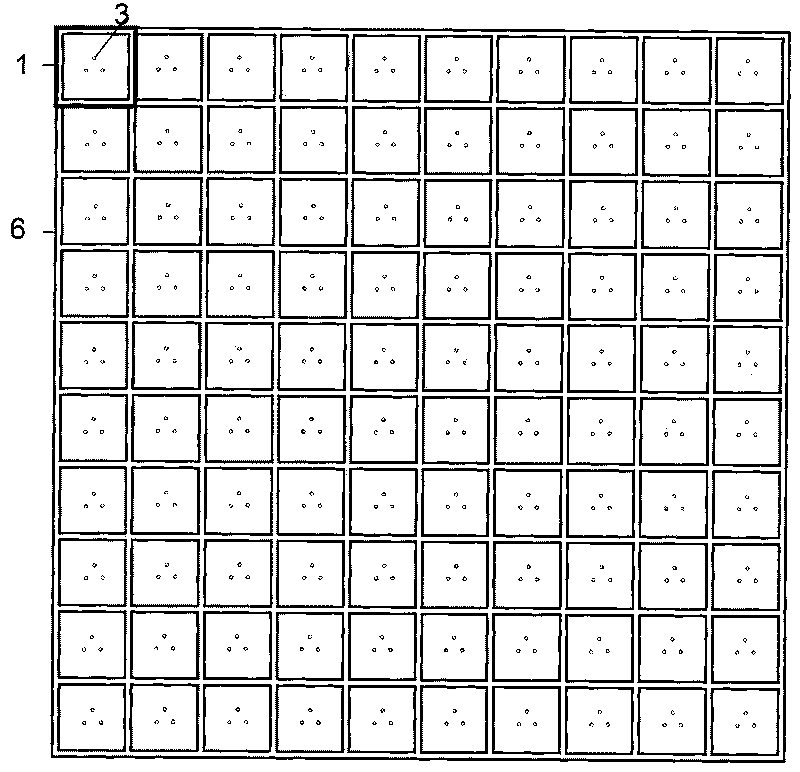 Rapid germination method of soil seed bank