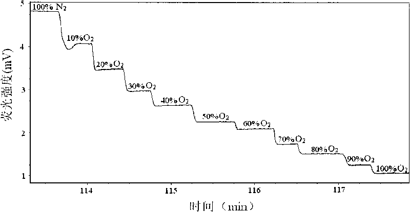 Optical oxygen sensor