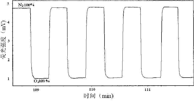 Optical oxygen sensor