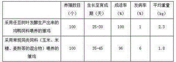 Method for producing feed for chickens and ducks through fermentation of zenia insignis leaves