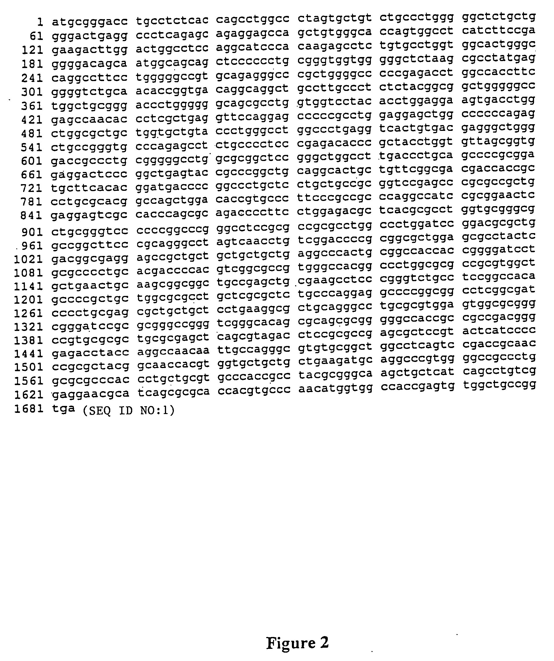 Gene expression and production of TGF-beta proteins including bioactive mullerian inhibiting substance from plants