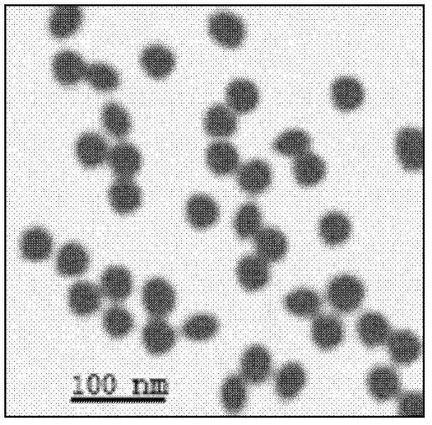 Detection kit and preparation method thereof for drugs of benzodiazepines