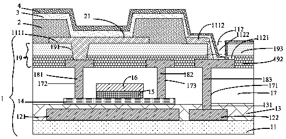 Organic light-emitting display device