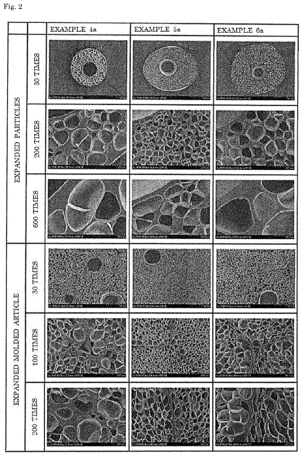 Expanded particles and expanded molded article