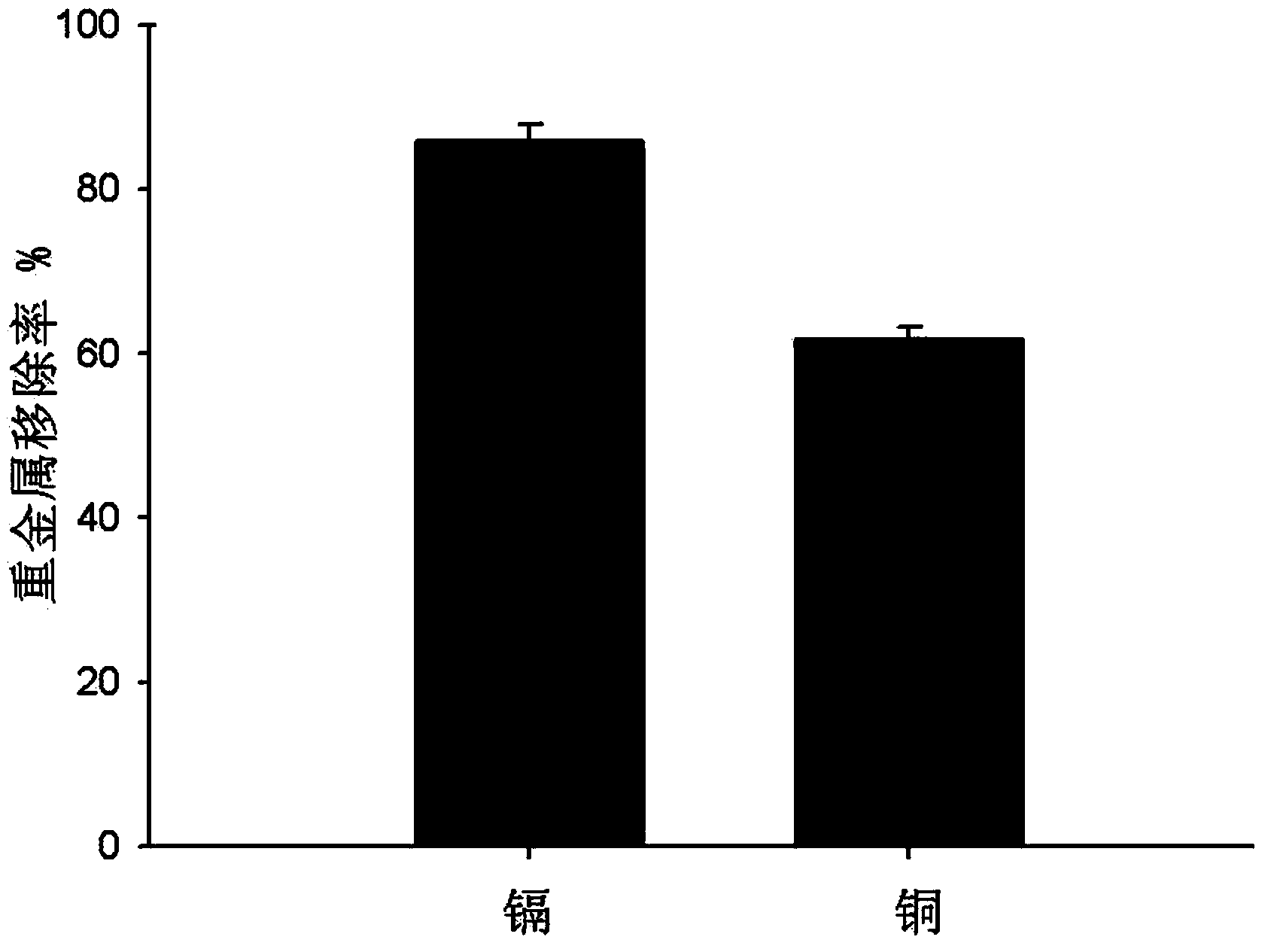 High-cadmium-adsorption filamentous fungi penicillium chrysogenum J-5 as well as preparation method and application thereof