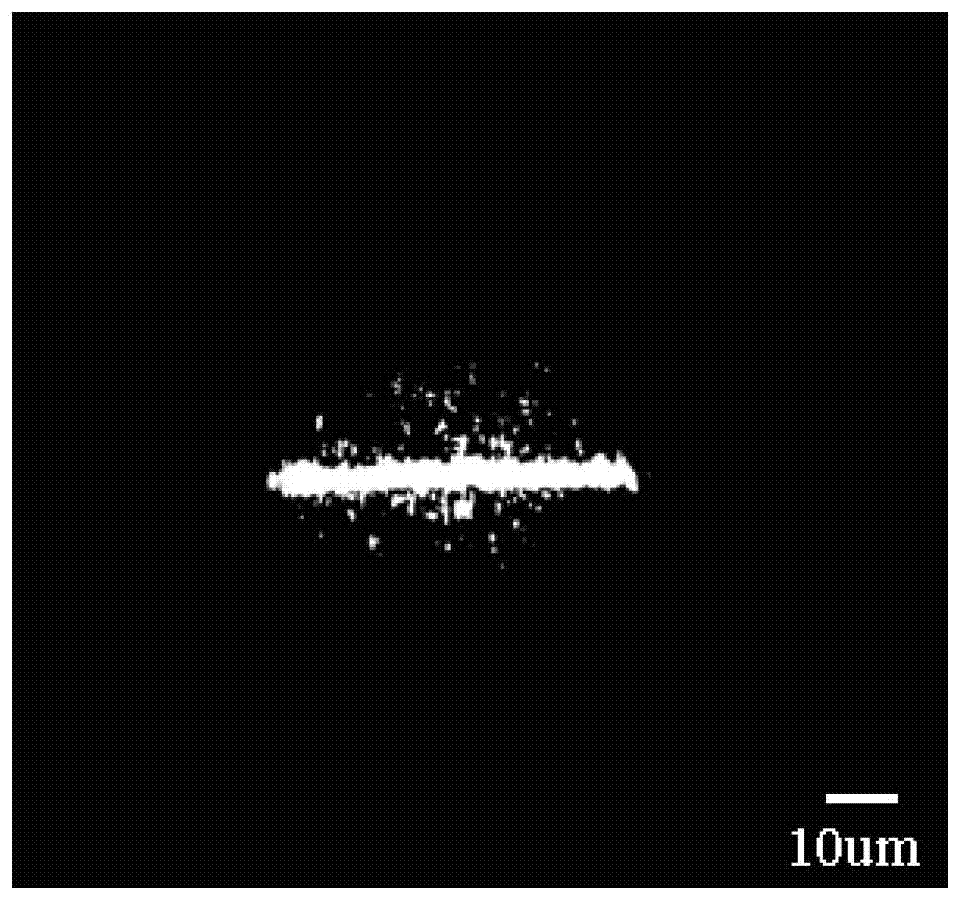 Photoacoustic-fluorescence flow cytometer