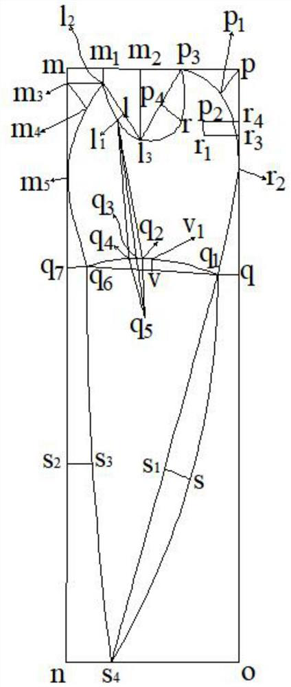 Drawing and tailoring method for women's swallow-tailed coat