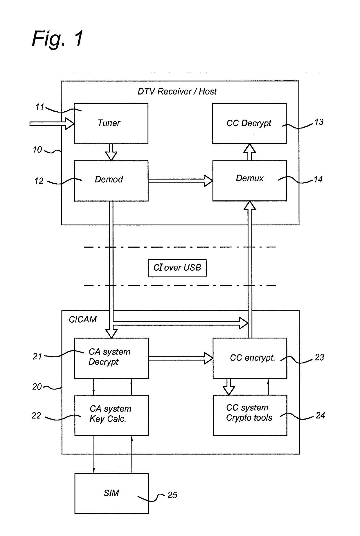 Common Interface Host and Common Interface Conditional Access Module