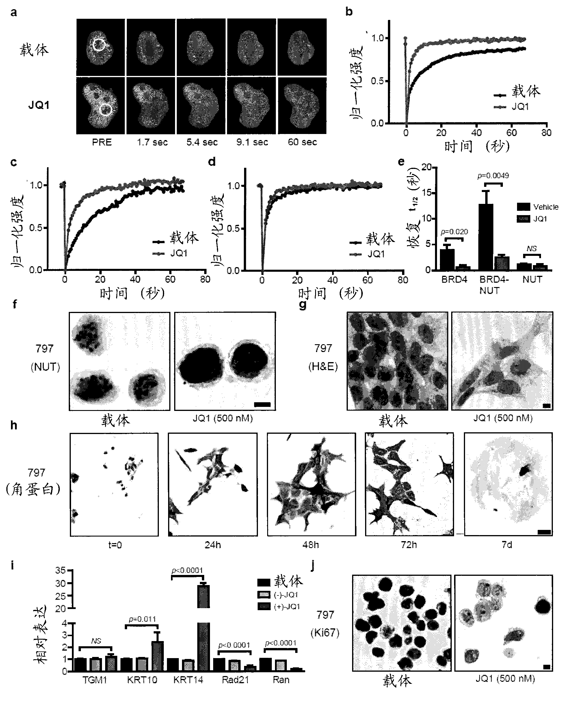 Compositions and methods for treating neoplasia, inflammatory disease and other disorders