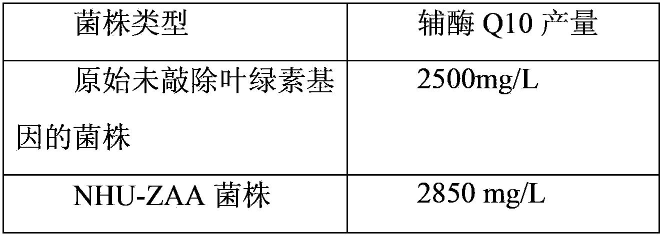 Coenzyme-Q10-production engineered bacteria construction method, engineered bacteria, and application thereof