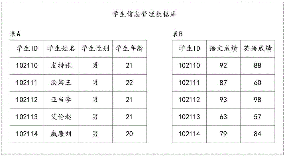 Database query field generation method and apparatus