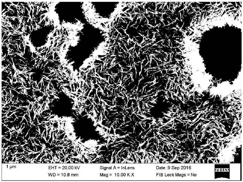 Method for preparing nano-porous magnesium through vapor deposition method