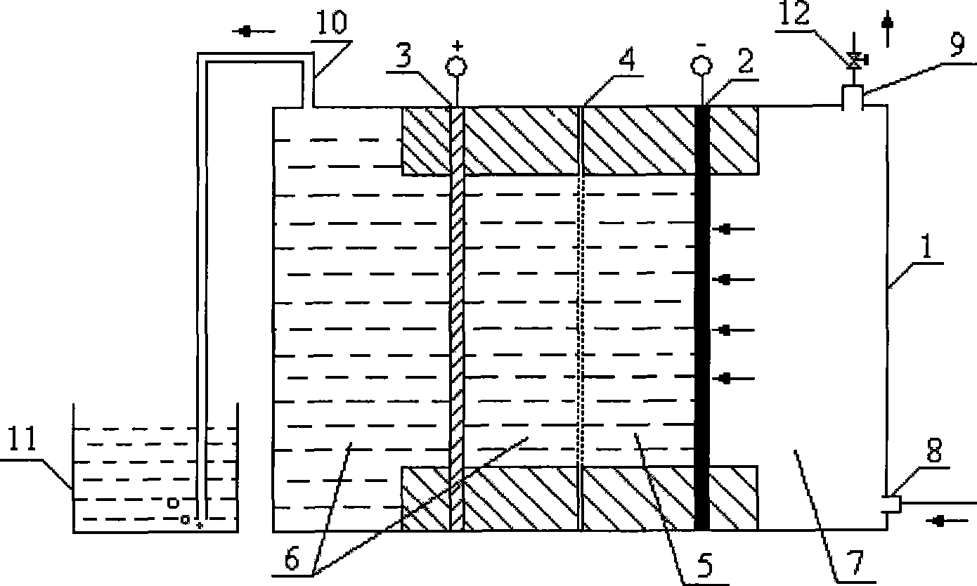 Apparatus and method for processing chlorine-containing organic wastewater by electrochemical reduction and oxidation