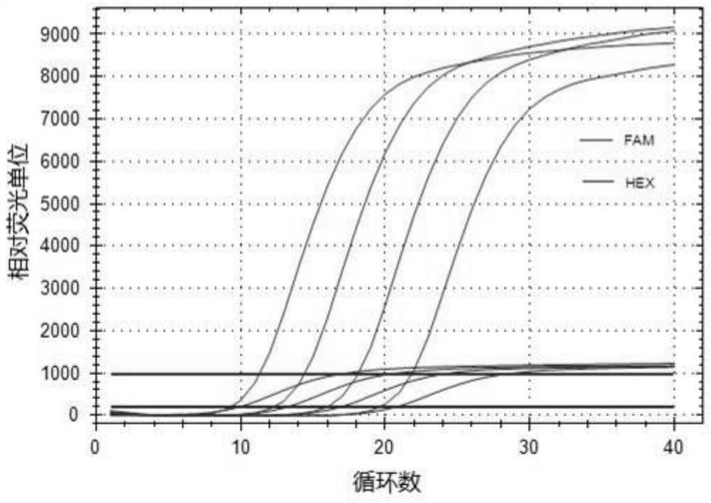 A triple RT-qPCR detection method and kit for u6, mir 92a and miR 21