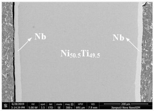 Nb coated NiTi shape memory composite material and preparation method thereof