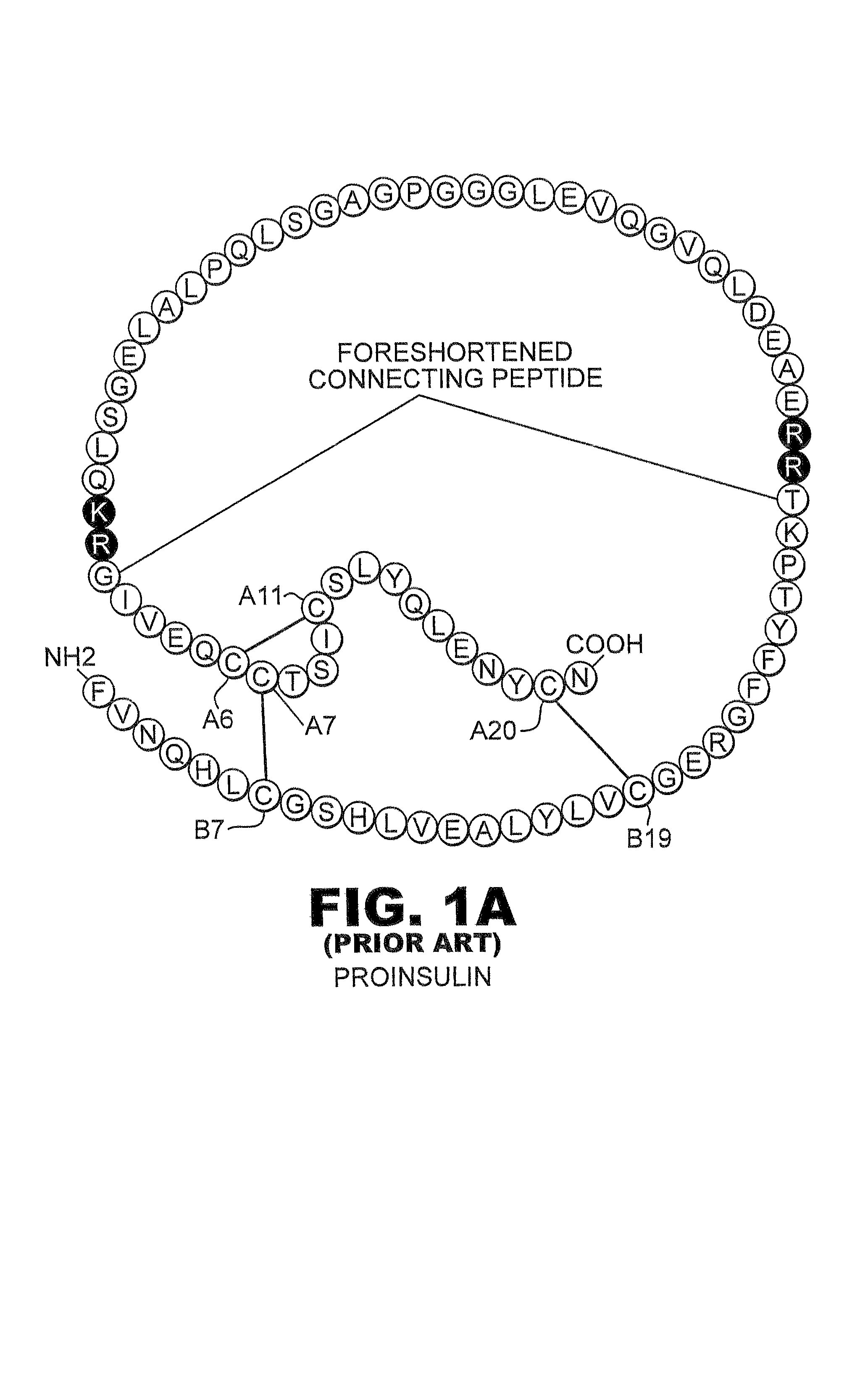 Fibrillation-resistant insulin and insulin analogues