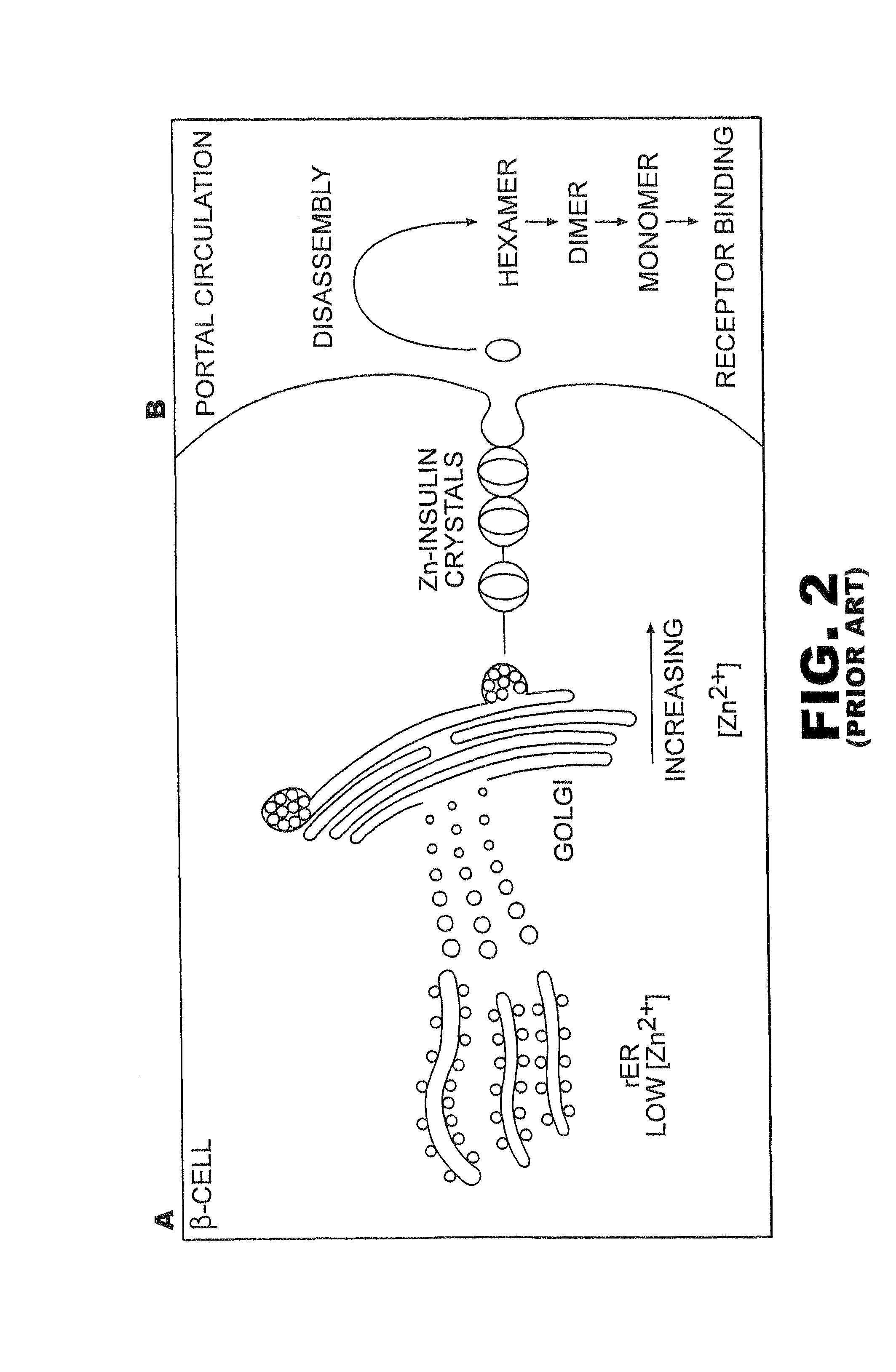 Fibrillation-resistant insulin and insulin analogues