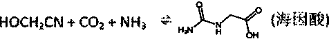 Clean process for continuously synthesizing glycine