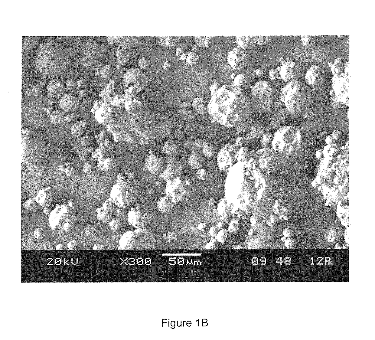 Flavor Encapsulation Using Electrostatic Atomization