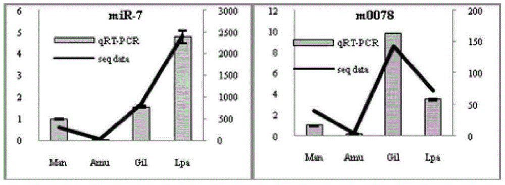 Application of a dual-gene microRNA fluorescence quantitative internal reference and its primers in shellfish tissue samples