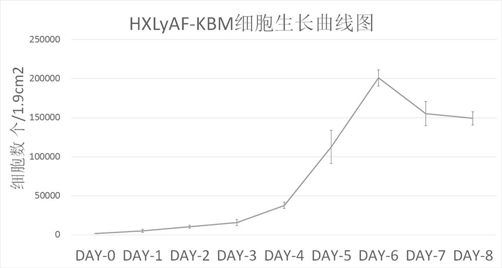 Mouse fibroblast tumor cell strain HXLyAF-KBM and application thereof