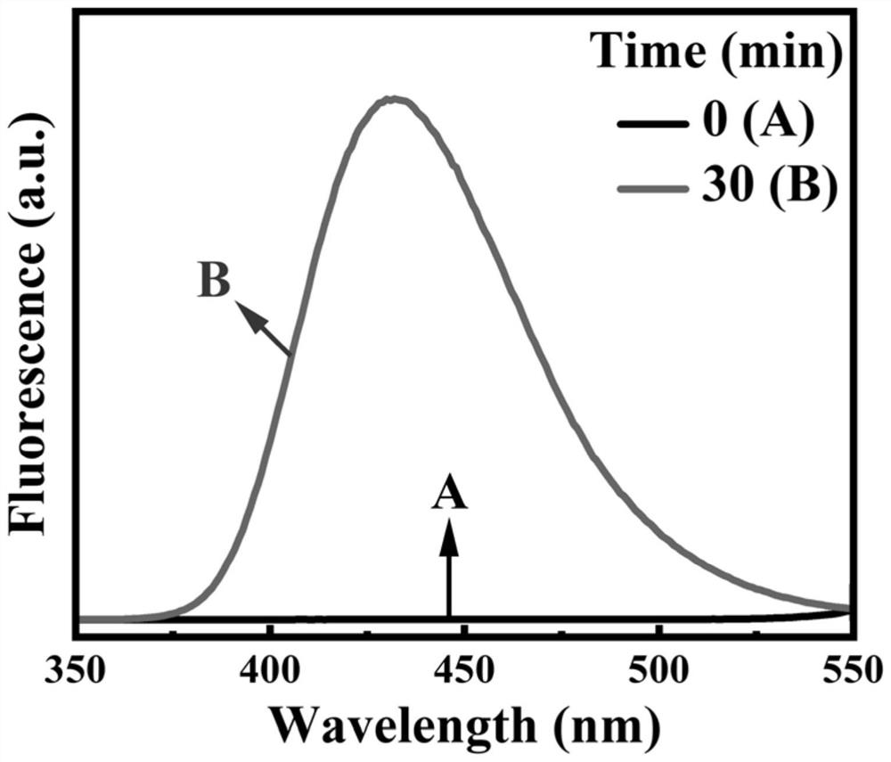 Method for degrading organic wastewater based on cooperation of natural tourmaline and hydrogen peroxide