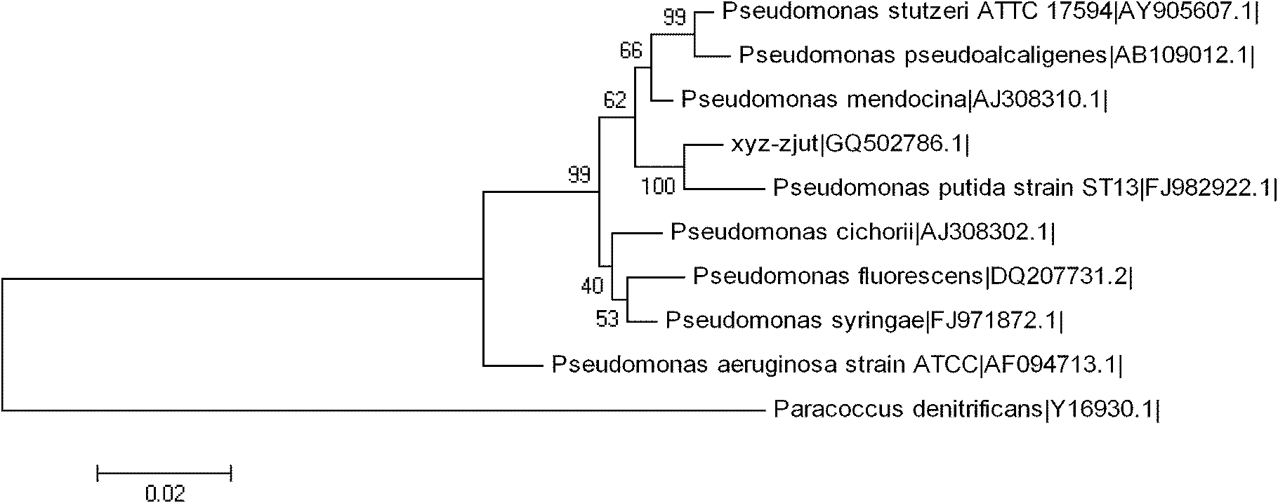 High-activity high-tolerance formaldehyde degrading bacteria and application thereof