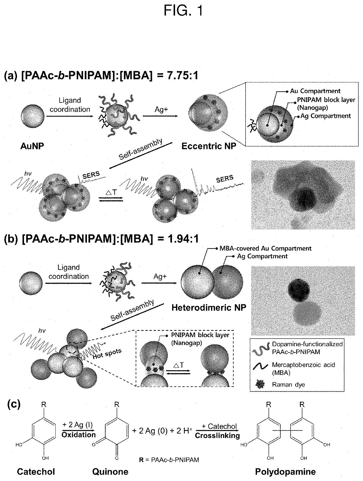 Bimetallic nanoparticles with stimuli-responsiveness, process for producing the same, and use thereof