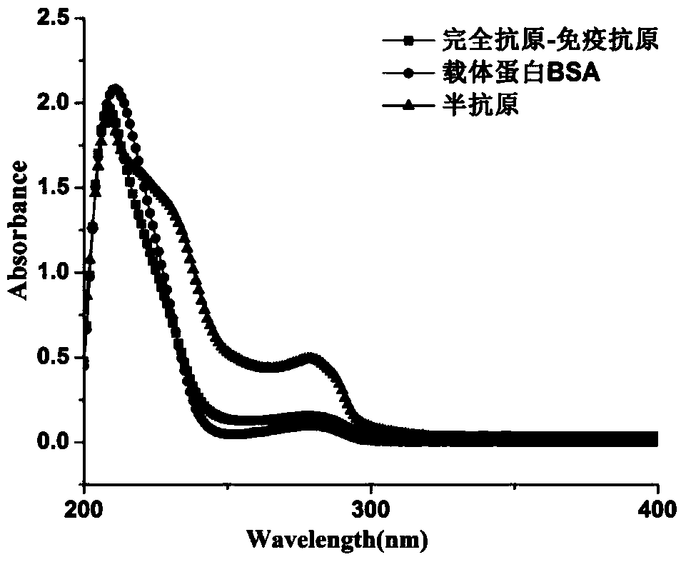 Anti-capsaicinoids general-specific antibodies, test strips, and rapid immunochromatographic identification method for kitchen waste oils and fats