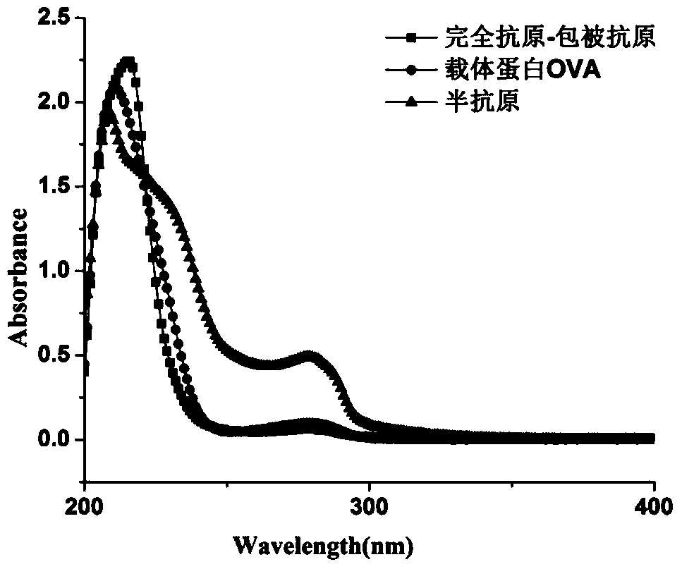 Anti-capsaicinoids general-specific antibodies, test strips, and rapid immunochromatographic identification method for kitchen waste oils and fats