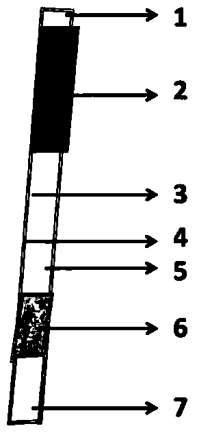 Anti-capsaicinoids general-specific antibodies, test strips, and rapid immunochromatographic identification method for kitchen waste oils and fats