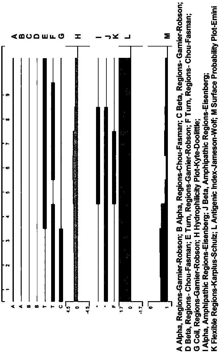 Polypeptide with male immunological contraception function and application of polypeptide