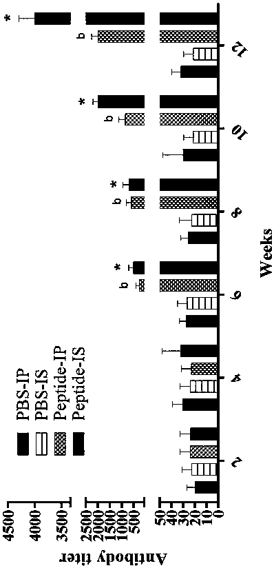 Polypeptide with male immunological contraception function and application of polypeptide